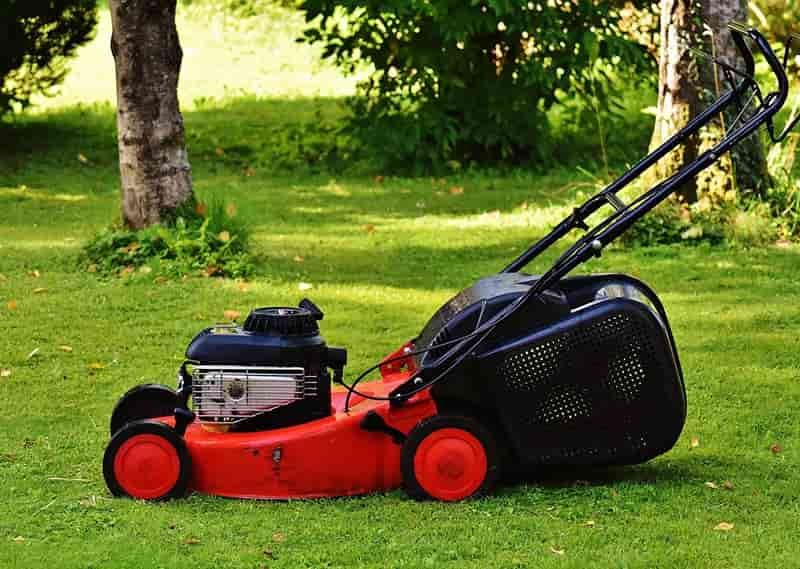 How to Choose the Perfect Mower for Your Yard